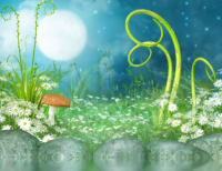 ​抖音充满正能量的文案90条（抖音的正能量的文案有哪些）