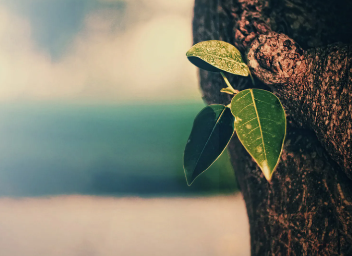 1668613223798196.png image.png