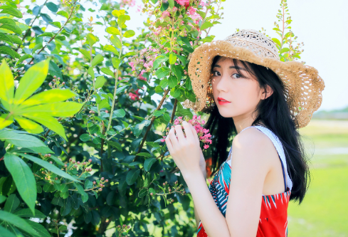 1691350003509109.png image.png