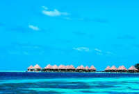 ​心态好的网名(优选123个)