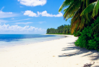 ​听起来傻乎乎的昵称(共116个)