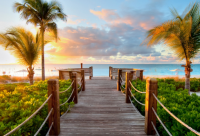 ​寻求另一半的单身网名(优选116个)