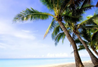 ​好寓意餐饮公司名字