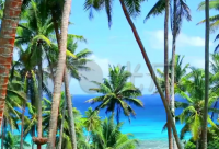 ​怎么取一个属于自己的网名(102个)