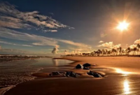 ​干净好听的昵称1个字(共190个)