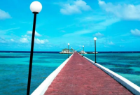 ​取个与酒有关的名字(136个)