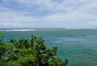 ​四字静心禅语网名(136个)