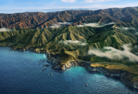 ​逍遥自在随性的名字(124个)