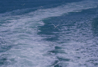 ​表示自己太难了的网名(精选126个)