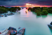 ​关于阳光清新暖暖的名字大全(优选95个)