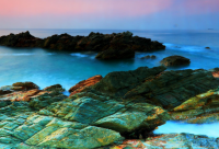 ​被爱情伤到心痛的昵称两个字(精选156个)