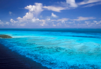 ​跟小仙女有关的萌网名字(优选104个)