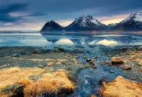 ​让心归零的网名(优选132个)