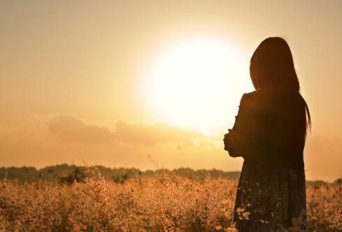 1692092001125695.png image.png