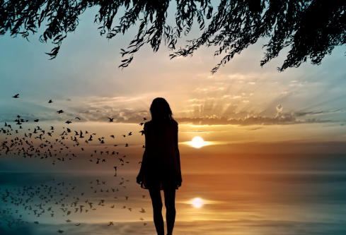 1692101629775518.png image.png