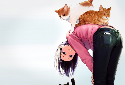 1692102460117158.png image.png