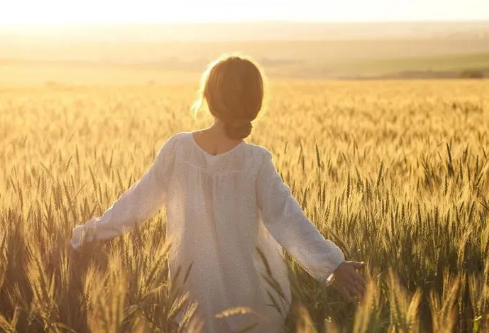 1692112415410265.png image.png