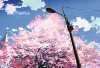 ​带符号名字大全(133个)