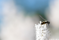 ​高端大气的家族名字(精选85个)