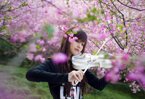 1704332857120669.png image.png