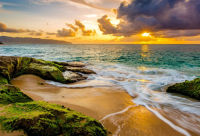 ​刻骨铭心的爱情短句(热门50句)