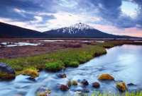 ​宝宝不开心的句子(实用50句)