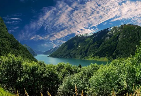 1705695989681838.png image.png