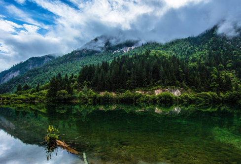 1705696155129960.png image.png