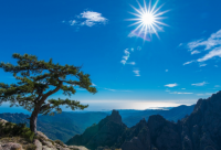 ​婚姻短句(通用49句)