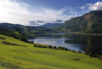 ​勇敢的句子说说心情(合集50句)