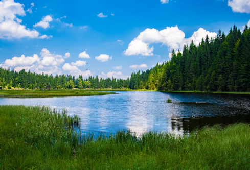 1705697314304191.png image.png