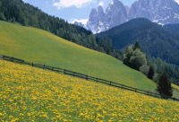 ​学会快乐的经典句子(合集40句)