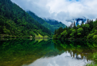 ​对于爱情无奈的句子(汇总50句)