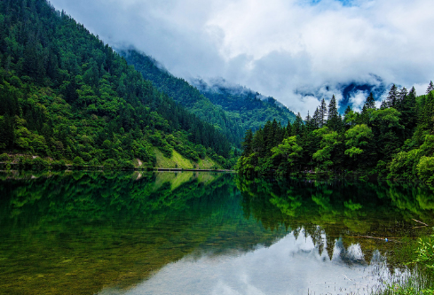 1705697976684463.png image.png