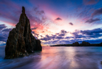 ​小鬼当家经典句子(共50句)