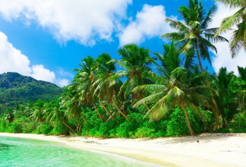 1705700127869543.png image.png