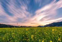 ​厌恶一个人的句子(汇总50句)
