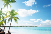 ​句子成分分析(合集50句)