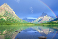 ​喂不熟的人的句子(汇总48句)