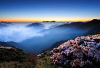 ​夸女孩子的短句(实用60句)