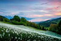 ​名著里的爱情句子(必备44句)