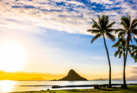 ​嘲笑爱情的句子(实用50句)