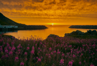 ​动作描写句子(优选60句)