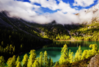 ​古风暖心句子(通用50句)