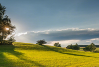 ​女生气质短句(50句)