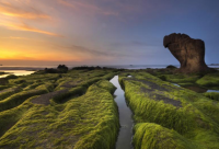 ​写给女朋友的说说短句(实用49句)