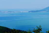 ​学会保护自己的句子(51句)