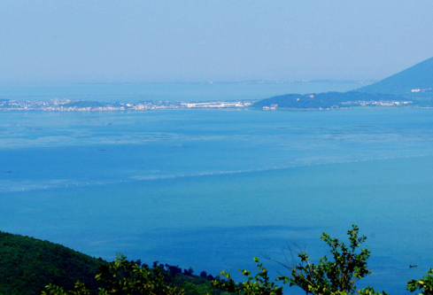 1705707079102092.png image.png