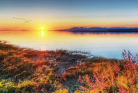 ​周末结束的句子(必备50句)