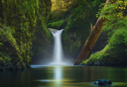 1705708238566341.png image.png